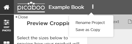 Save_a_Copy.PNG